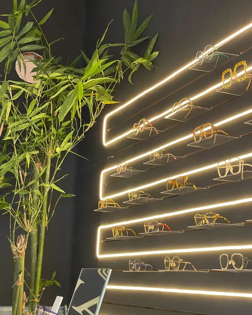 Repisas iluminadas con armazones y plantas de bambú